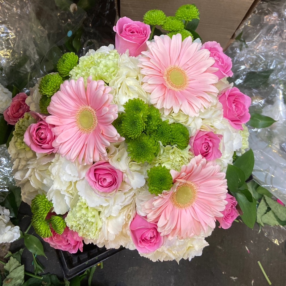 Meet your Posher, Natalie